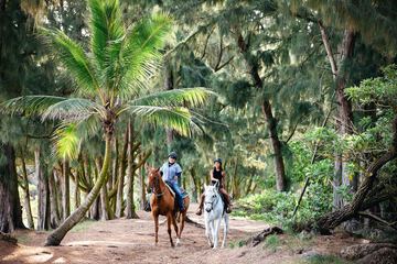 Horseback riding