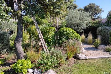 Photo 41