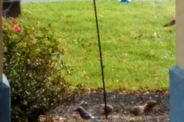 Hotel Exterior 32 of 32