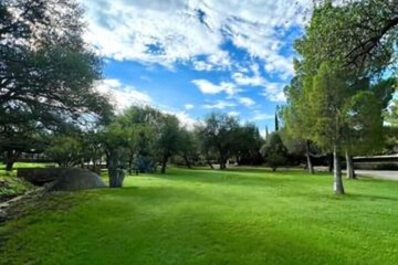Outdoor wedding area