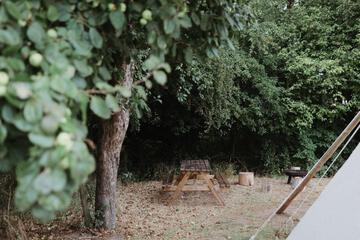Photo 49
