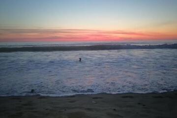 Photo 36