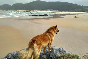 Photo 40