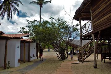 Photo 53