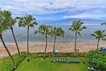 Property Grounds 38 of 41