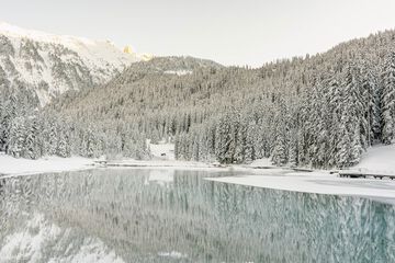 Lake view