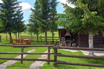 Photo 41