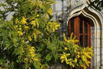 Photo 48
