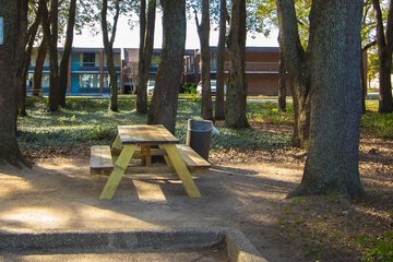 BBQ/picnic area