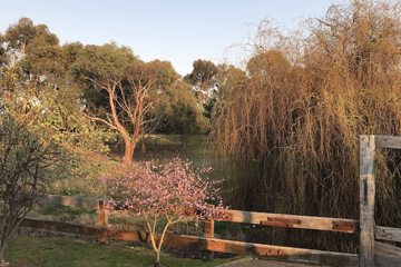 Land view from property