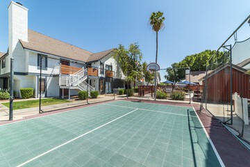 Basketball court