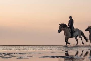 Horseback riding