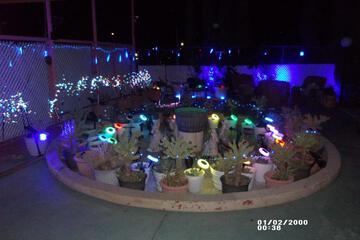Photo 50