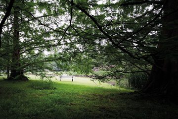 Land view from property