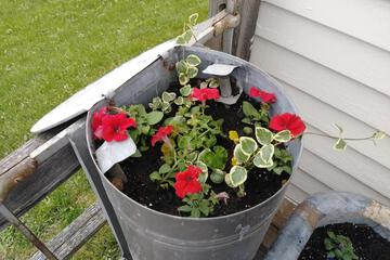 Photo 46