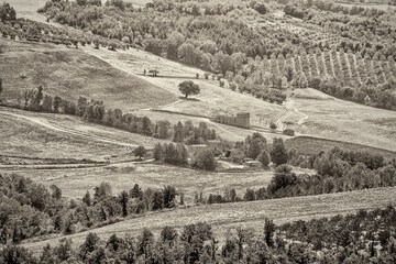 Land view from property