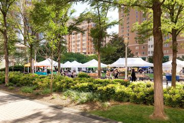 Property Grounds 61 of 62