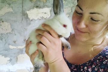 Photo 39
