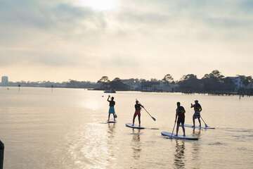 Surfing/boogie boarding
