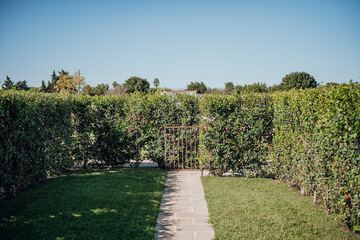 Garden view