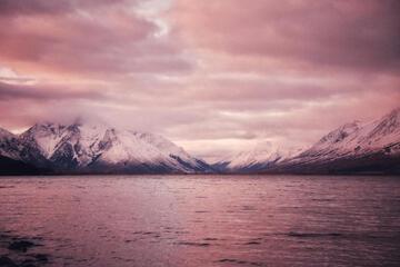 Photo 45