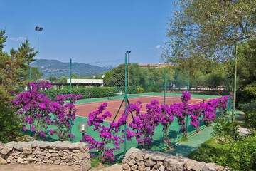 Tennis court