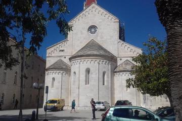 Photo 41