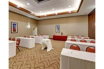 Conferences