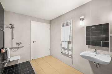 Cleanliness standards