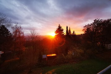View from room