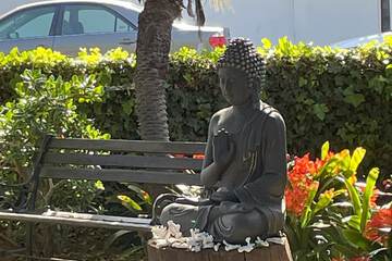 City view from property