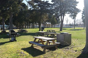 BBQ/picnic area