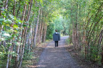 Hiking