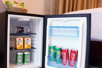 Mini-refrigerator