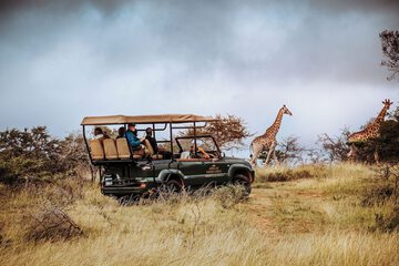 Game drive