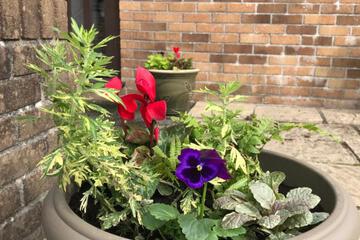 Photo 36