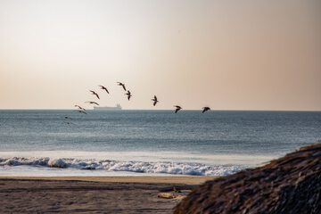Beach/ocean view