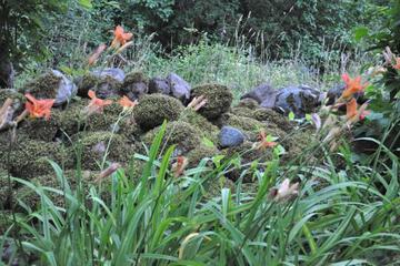 Photo 32
