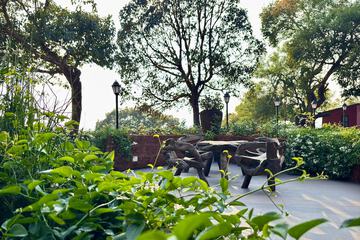 Garden view