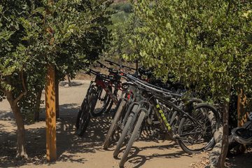 Bicycling