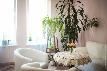 Treatment room