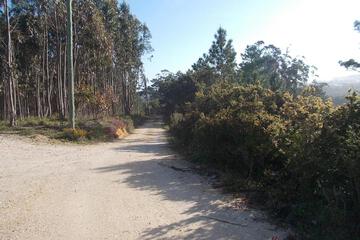 Photo 38