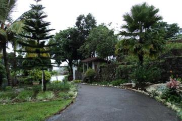 Photo 42