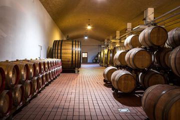 Winery