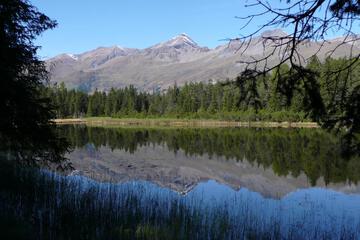 Photo 45