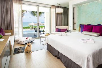 Pet-friendly