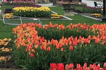 Land view from property