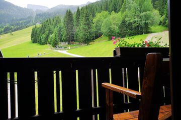 View from room