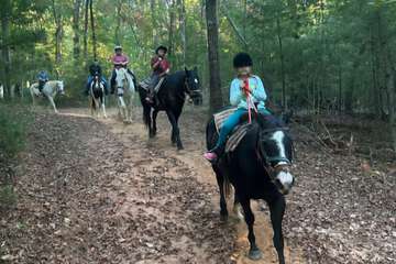 Horseback riding