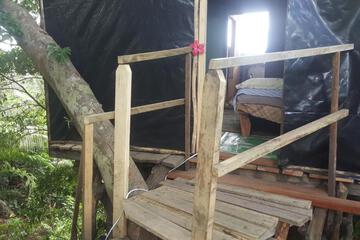 Photo 24